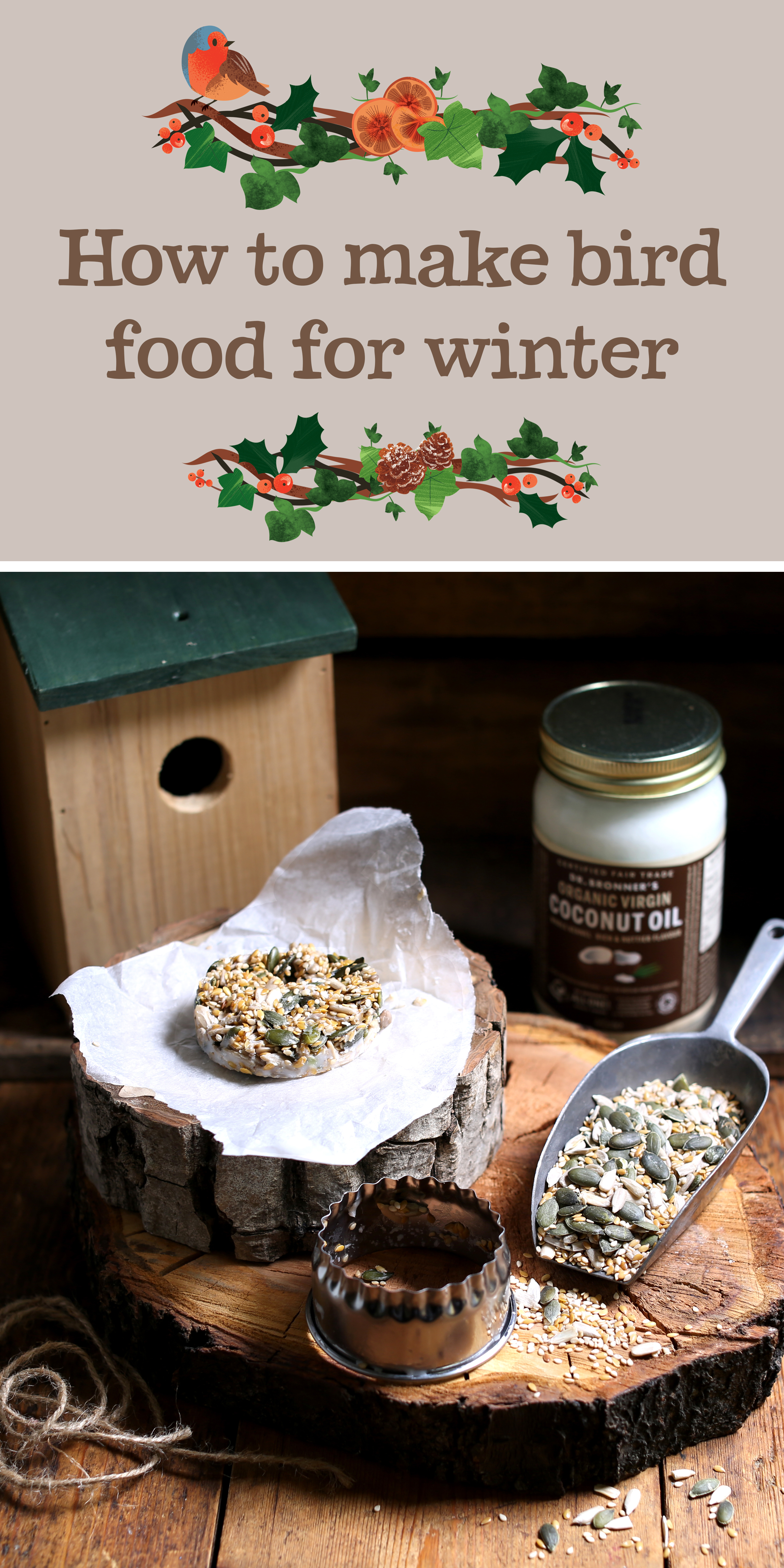 How to make bird food for winter