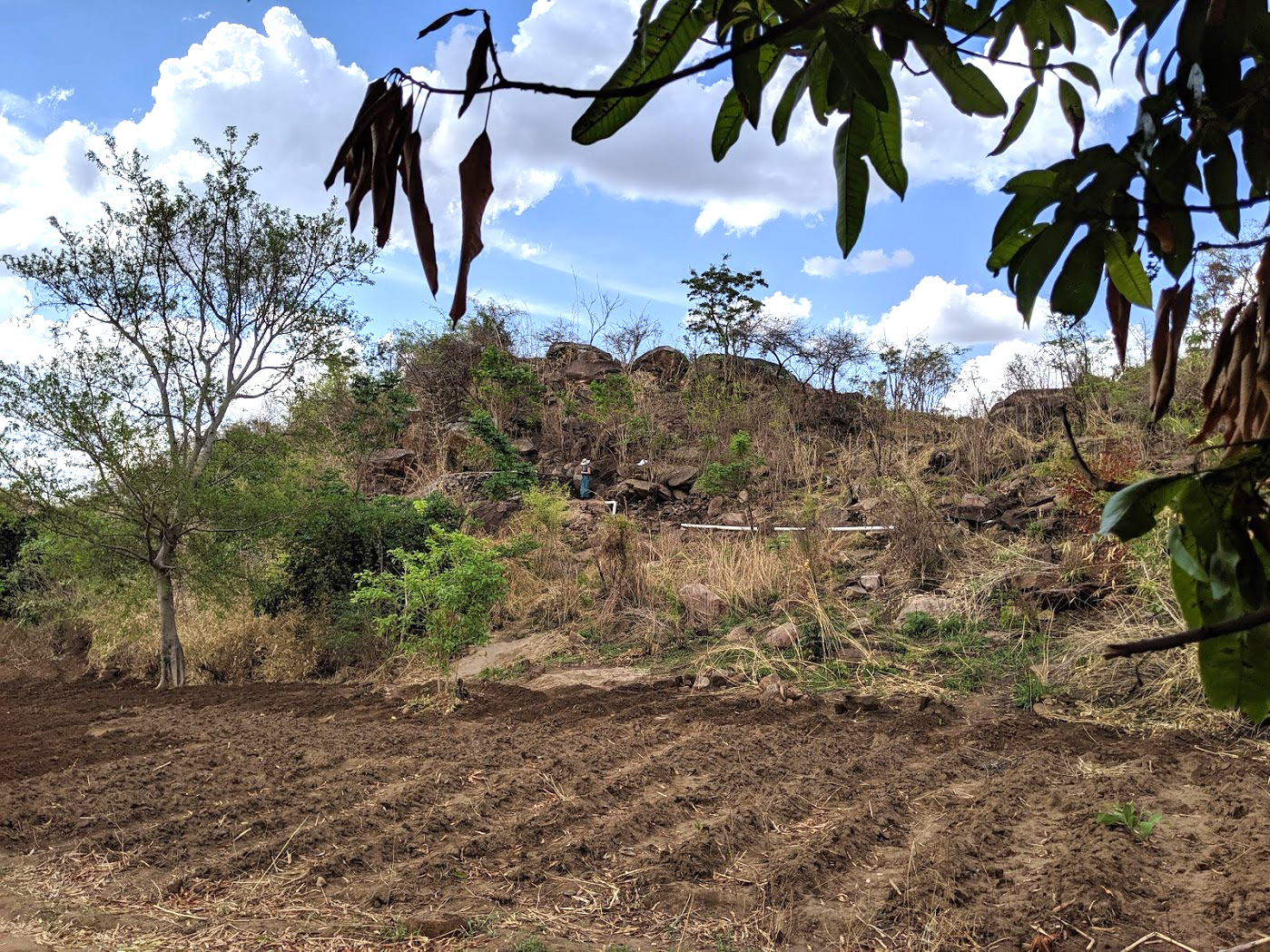 The Community Farm Project