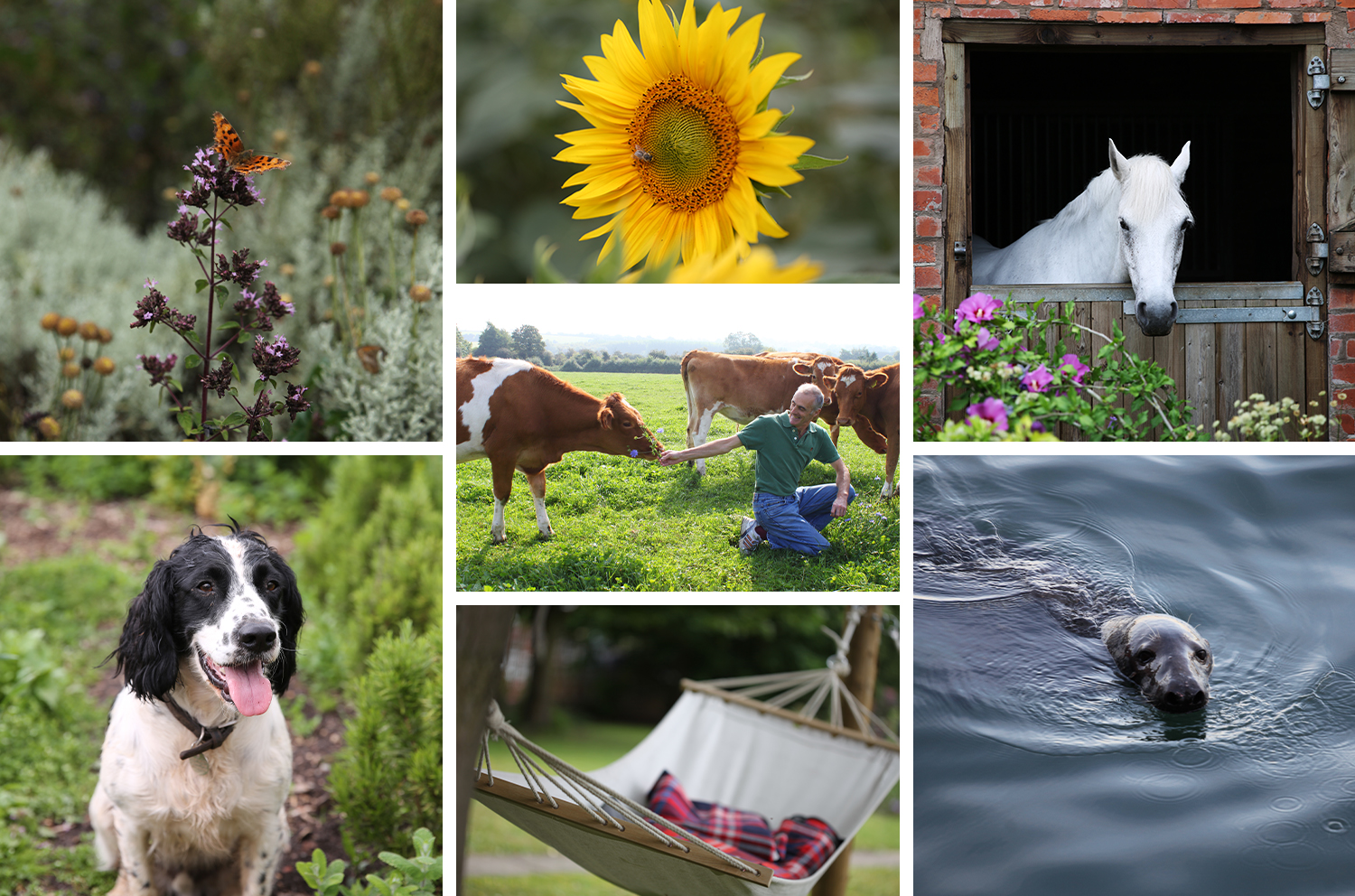 Images of nature