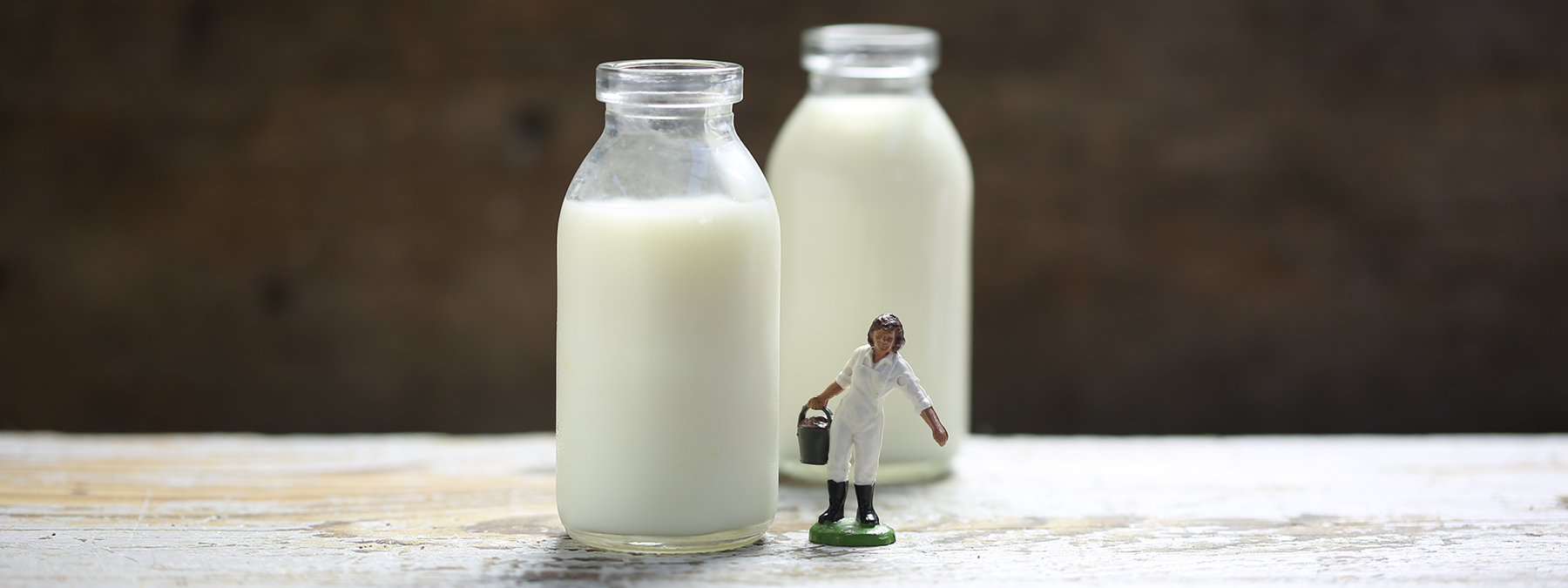 Picking the most eco-friendly milk container