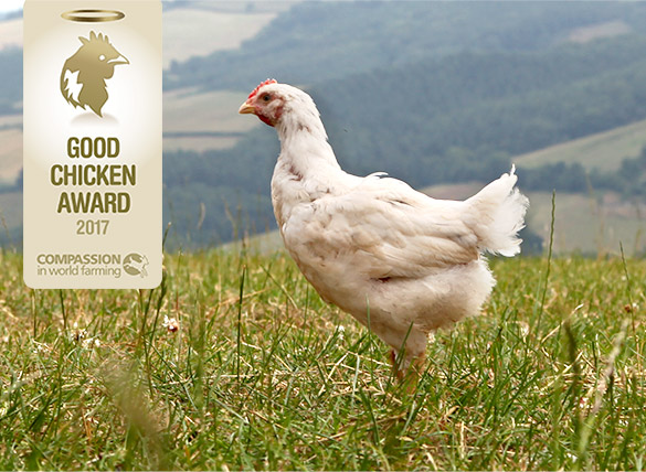 Award-winning chicken