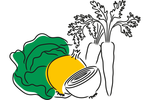 An illustration of healthy organic vegetables