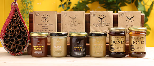 World Bee Day