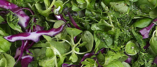 Spring Party Food and Drinks