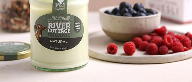 Dairy & dairy alternative offers