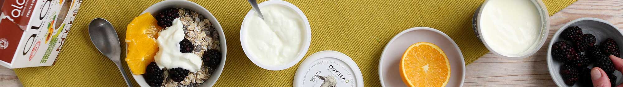 Organic Yogurt