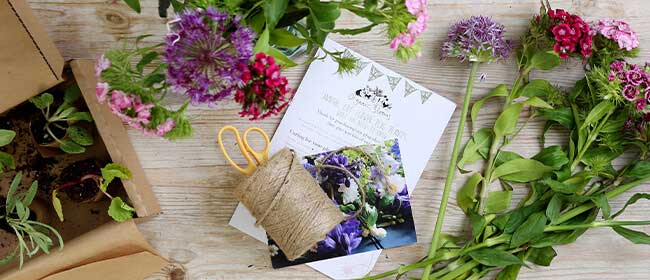Flowers & plants