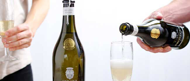 Champagne & fizz