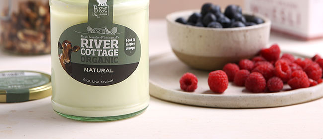 Dairy & dairy alternative offers