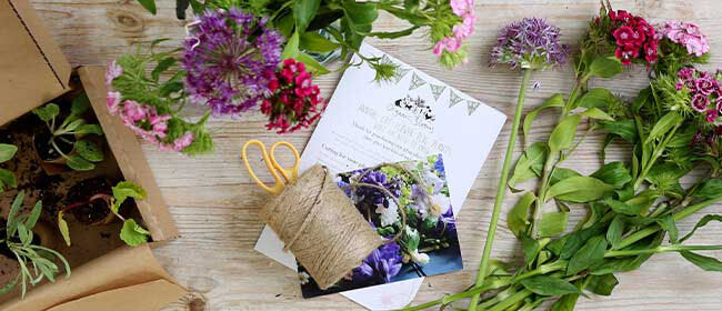 Flowers & plants