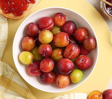English Victoria Plums
