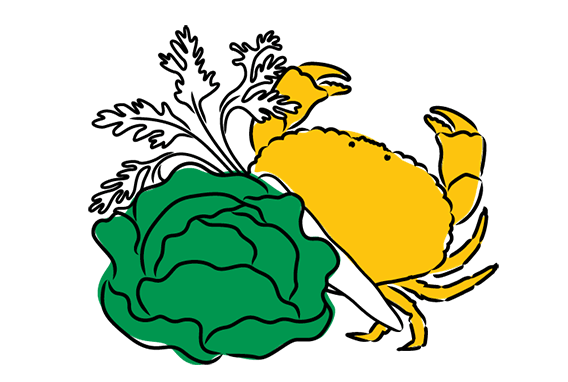 An illustration of a cabbage, carrot and crab