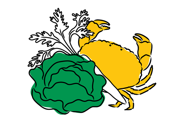 An illustration of a cabbage, carrot and crab