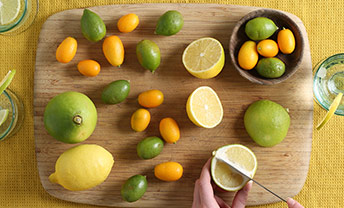 Discover new citrus. With kumquats, limequats and more