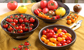 Find a new favourite British tomato. With seasonal stars
