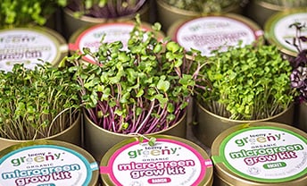 Grow your own microgreens with Teeny Greeny’s new kits