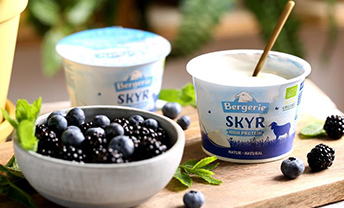 Try our new protein-packed, organic Skyr