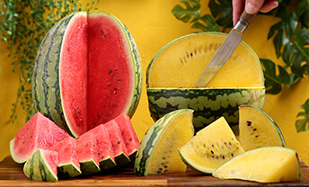 Discover Yellow Watermelons full of natural sweetness