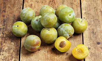 Discover brand-new, organic stoned fruit
