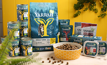 Treat your dog to organic food from Yarrah with 25% off