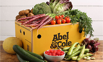 Eat the season with The Best of Organic July Box