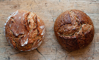 Tear into our new, plant-packed diversity loaves