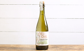 Explore English, organic wines crafted by Wye’s Owl