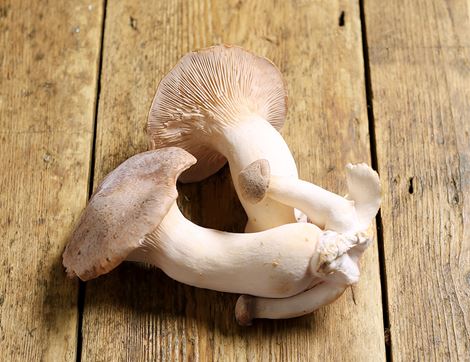 King Oyster Mushrooms, Organic (150g)