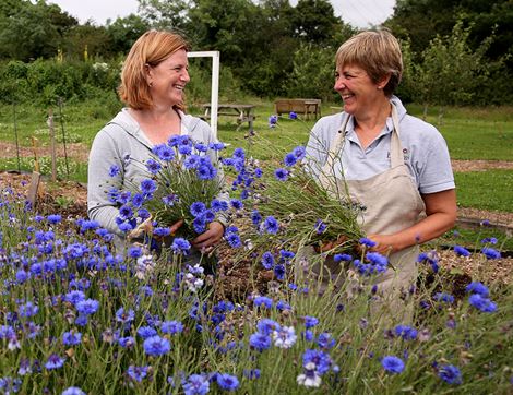 organic muscari planter with organic blooms