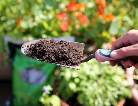 Peat-Free Wool Compost for Seeds, Suitable for Organic Growing, Dalefoot Composts (12l)