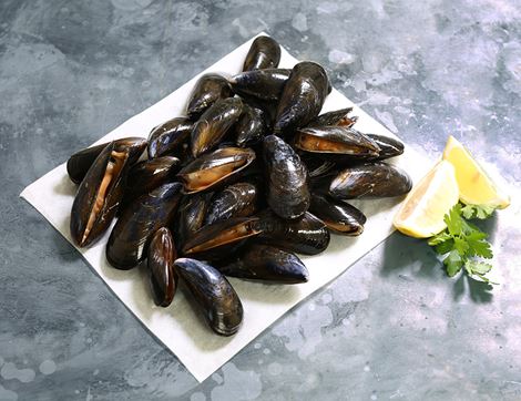 organic rope grown mussels fowey seafood