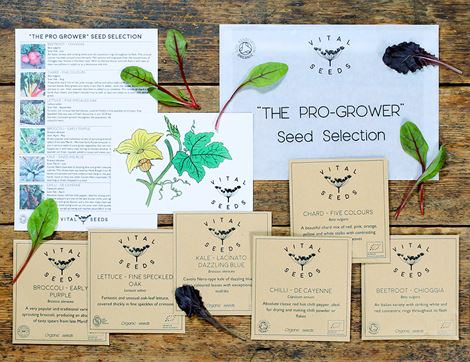 organic pro grower seed selection vital seeds