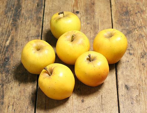 organic opal apples