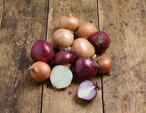 mixed onions