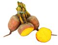 Golden Beetroot