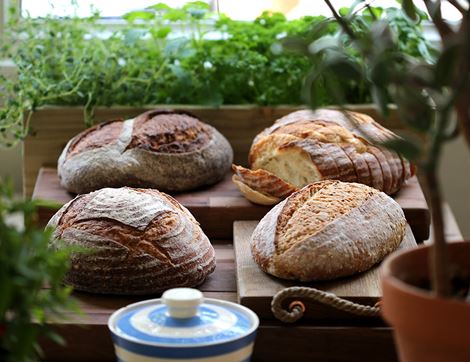 Milk & Honey Sourdough, Organic, Seven Seeded (400g)