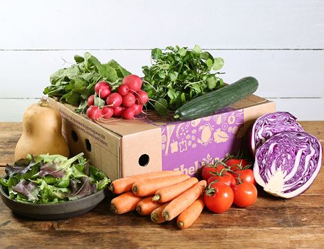 Seasonal Salad & Veg Box, Organic