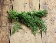 Dill, Organic (20g)