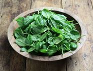 organic baby leaf spinach 200g