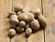 New Potatoes, Organic (1kg)