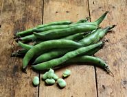organic broad beans