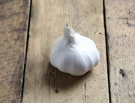 organic garlic 1 bulb