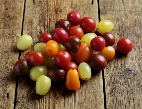 organic speciality tomatoes