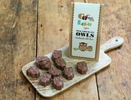 Milk Chocolate Owls