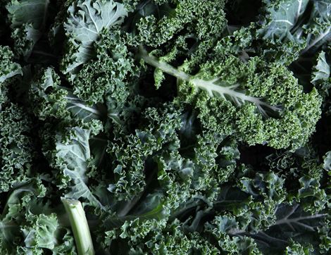 Green Kale, Organic (300g)
