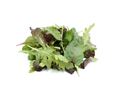 Peppery Mix Salad Peppery Mix Salad