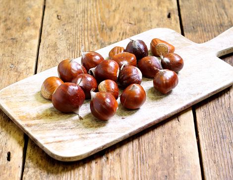 wild sweet chestnuts