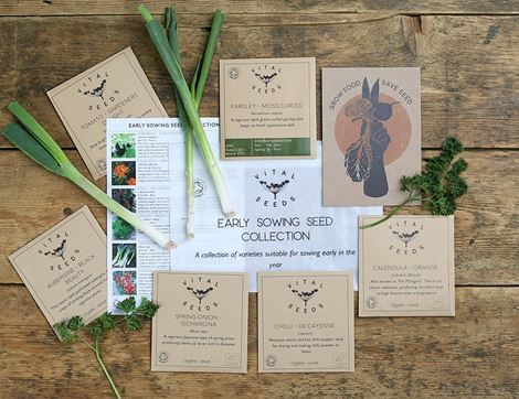 organic early sowing seed selection