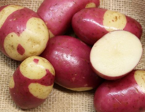 Pink Gypsy Seed Potatoes, Organic, Potato House (6 tubers)