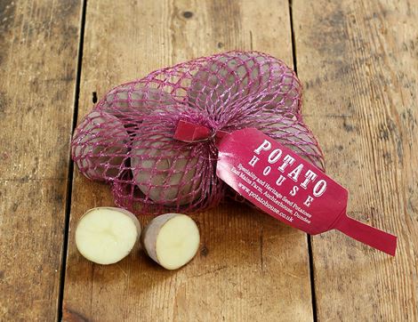organic robinta seed potatoes potato house